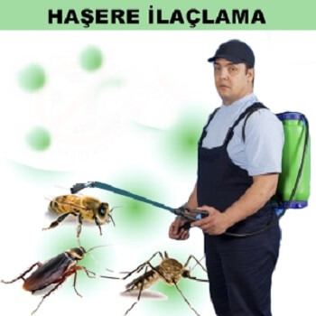 Geyve Böcek İlaçlama